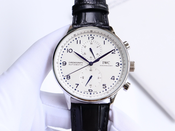 アイ・ダブリュー・シー背面デザイン